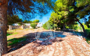 Property slide 16