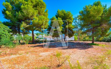 Property slide 9