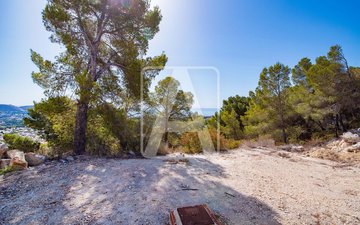 Property slide 16
