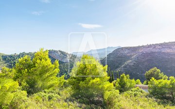 Property slide 27