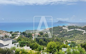 Property slide 12