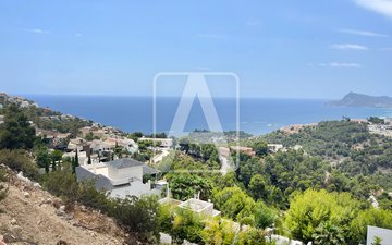 Property slide 6