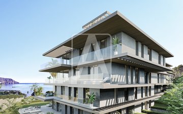 Property slide 13
