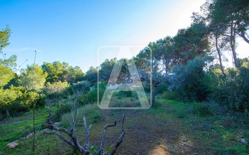 Property slide 11