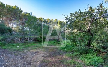 Property slide 12