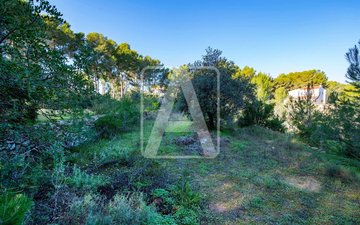Property slide 13