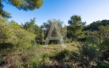 Property slide 2