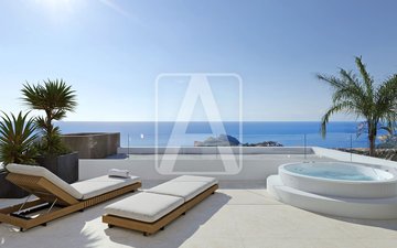 Property slide 3