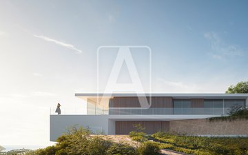 Property slide 6