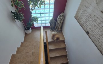 Property slide 24