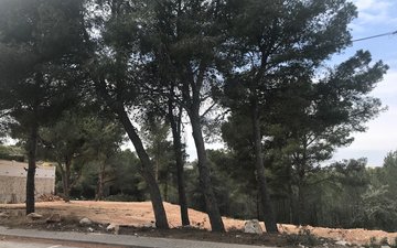 Property slide 4