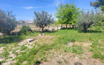 Property slide 25