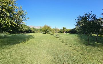 Property slide 31