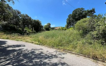 Property slide 4