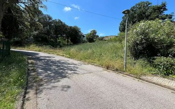 Property slide 5