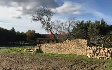 Property slide 16