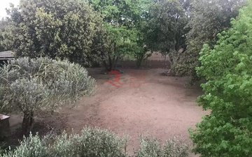 Property slide 23