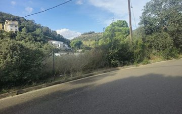 Property slide 7