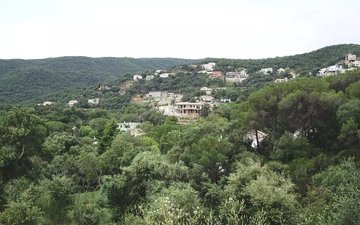 Property slide 4