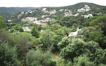 Property slide 6