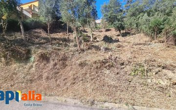 Property slide 6