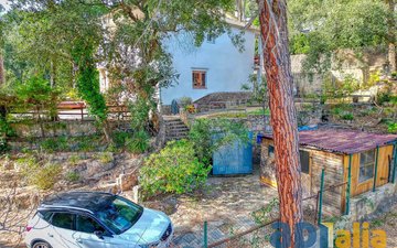 Property slide 37