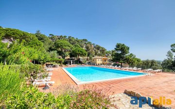 Property slide 42
