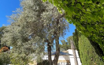 Property slide 23
