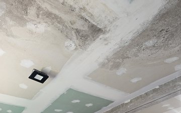 Property slide 48
