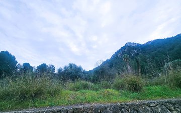 Property slide 11
