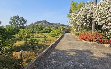 Property slide 36