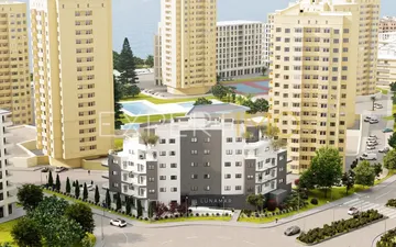 Property slide 13