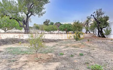 Property slide 29