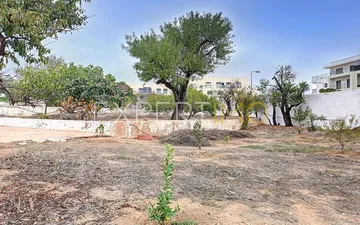 Property slide 31