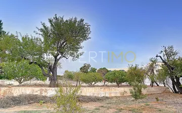 Property slide 34