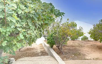 Property slide 37