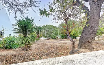 Property slide 47