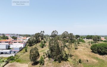 Property slide 11