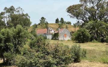 Property slide 17