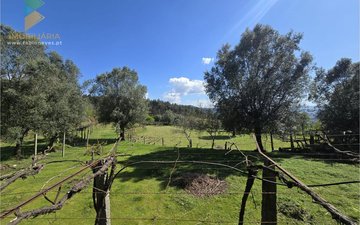 Property slide 10