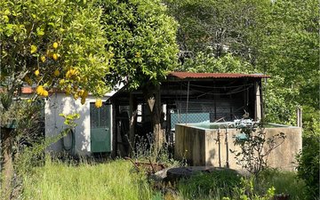 Property slide 31