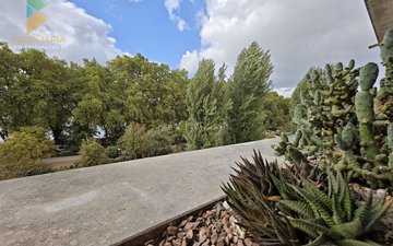 Property slide 26