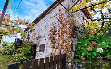 Property slide 6