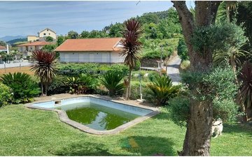 Property slide 13