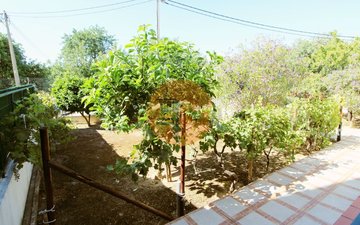 Property slide 19