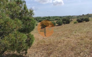 Property slide 8