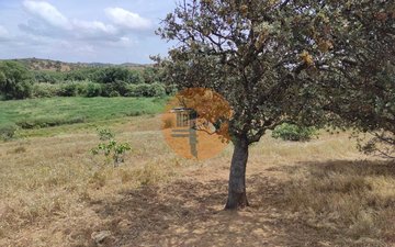 Property slide 22