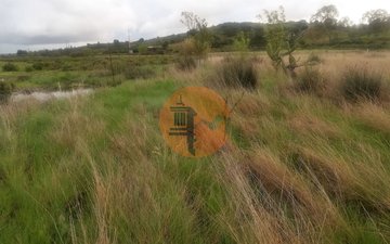 Property slide 28