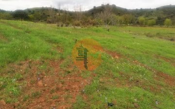 Property slide 39