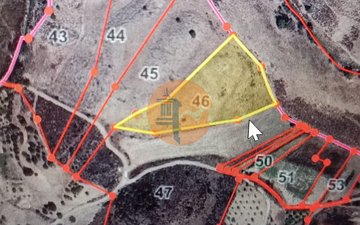 Property slide 11